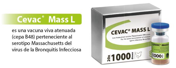 Vacunación contra IBV con Cevac IBird<sup>®</sup> y Cevac<sup>®</sup> Mass L