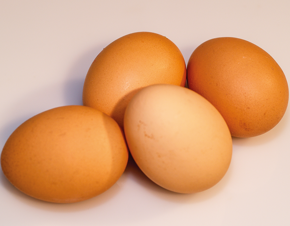 El manejo sanitario del huevo incubable