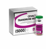 CEVAC-TRANSMUNE_listshop_detail