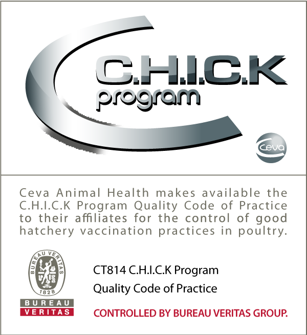 chick_program_certificado