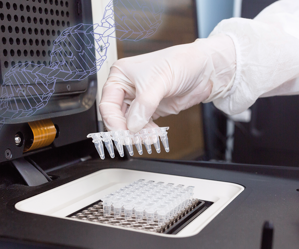 Posibles aplicaciones de PCR para el control de Salmonella en avicultura