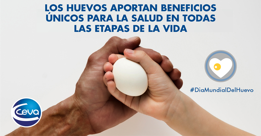 Ceva Salud Animal destaca en el Día Mundial del Huevo los beneficios que ofrece su consumo en todas las etapas de la vida