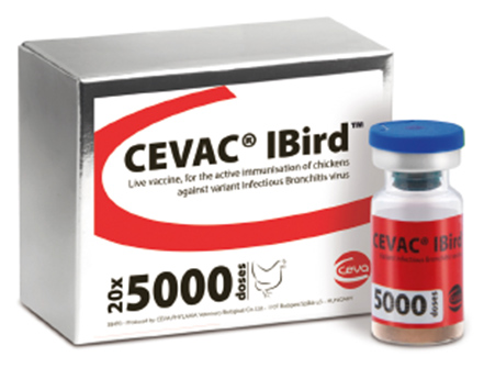 Cevac Ibird